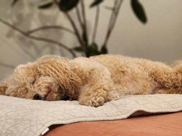 Bendigo Ernest Hotel